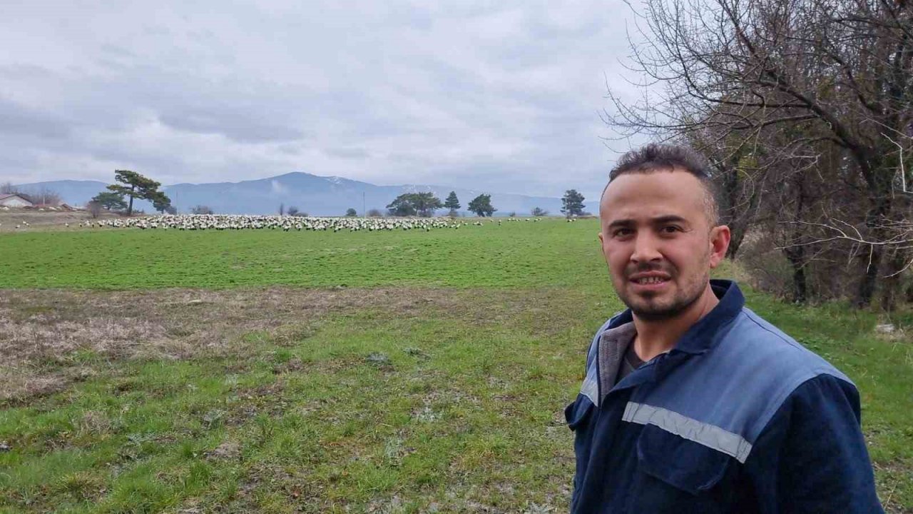 Göçmen leylekler Domaniç’te mola verdi