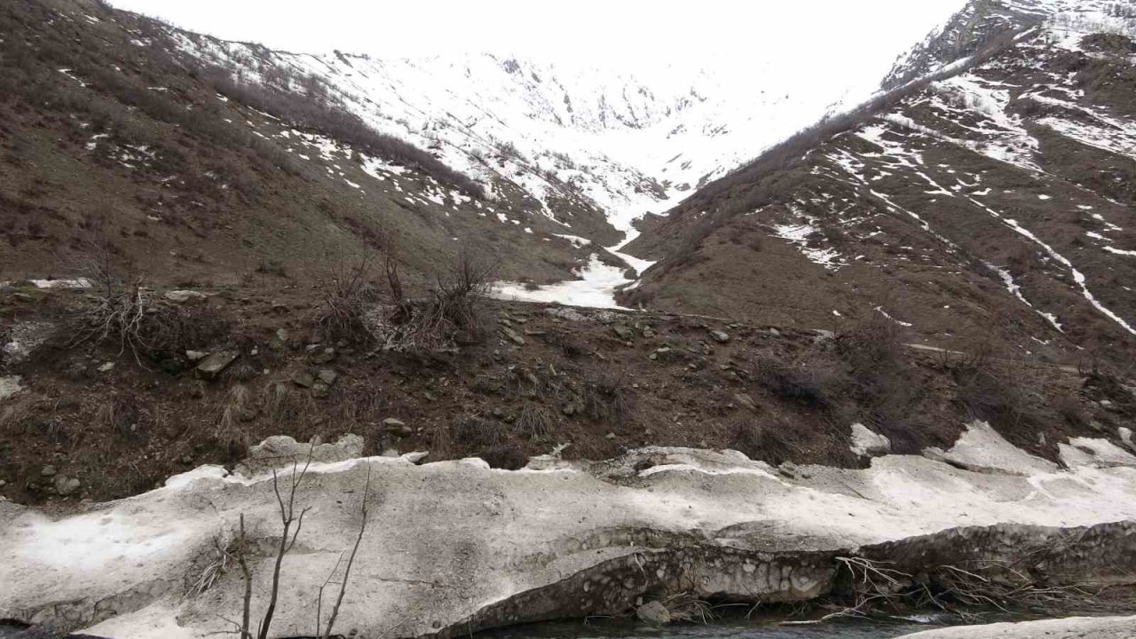 İnen çığın verdiği zarar bir ay sonra ortaya çıktı