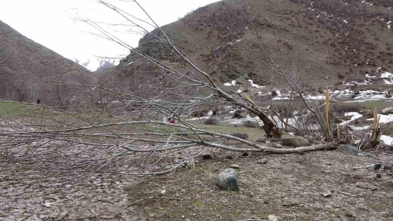 İnen çığın verdiği zarar bir ay sonra ortaya çıktı