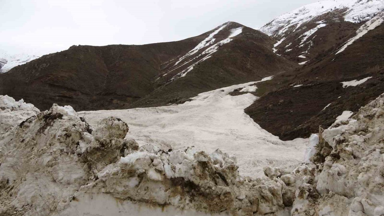 İnen çığın verdiği zarar bir ay sonra ortaya çıktı