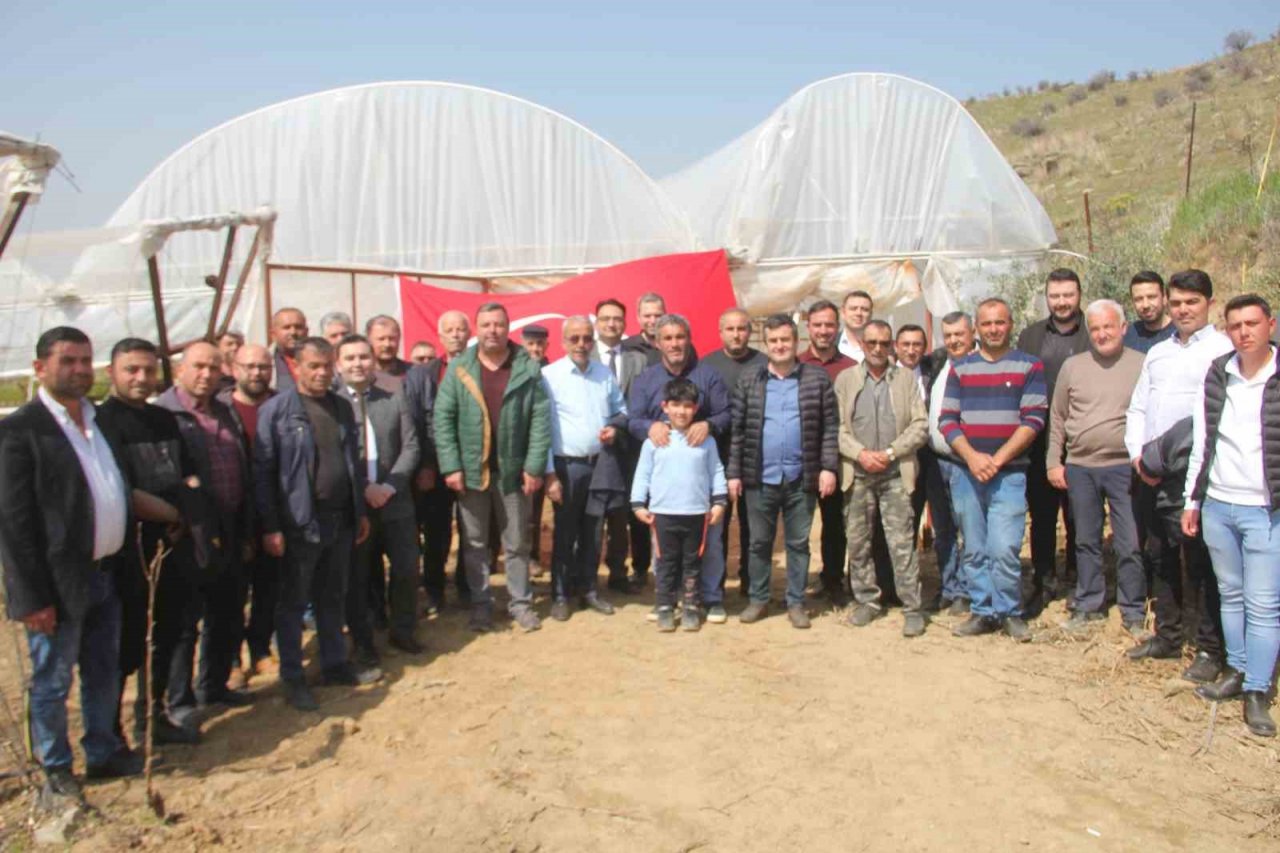 Sarıgöl’de ilk kez örtüaltı üzüm yetiştirildi