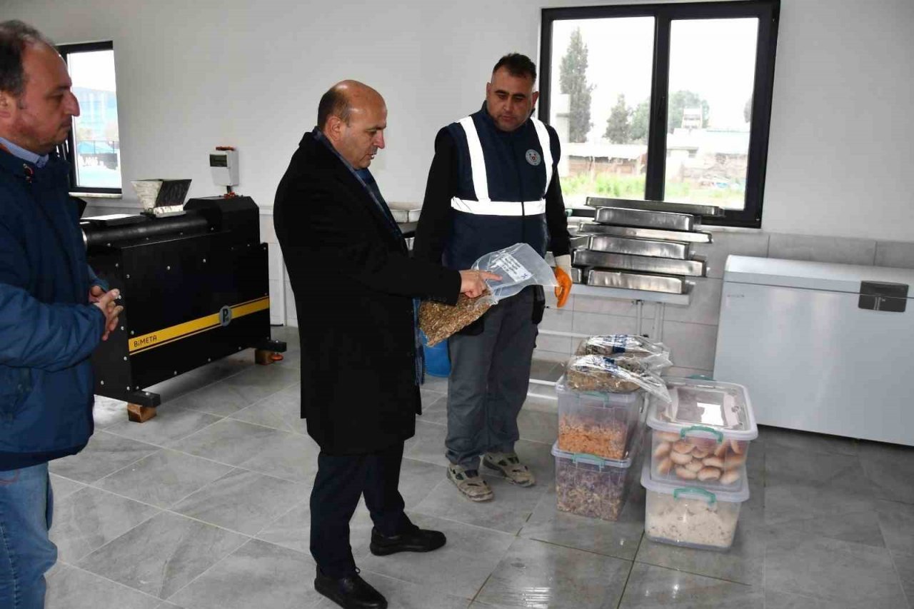 Yalova Altınova’da atık yemekler yüksek kaliteli mamaya dönüşüyor