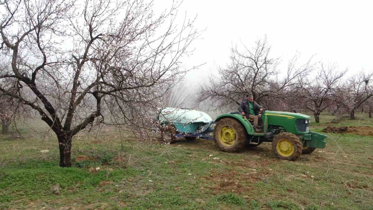 Depremin vurduğu Malatya’da kayısı üreticileri yeni sezona hazırlanıyor