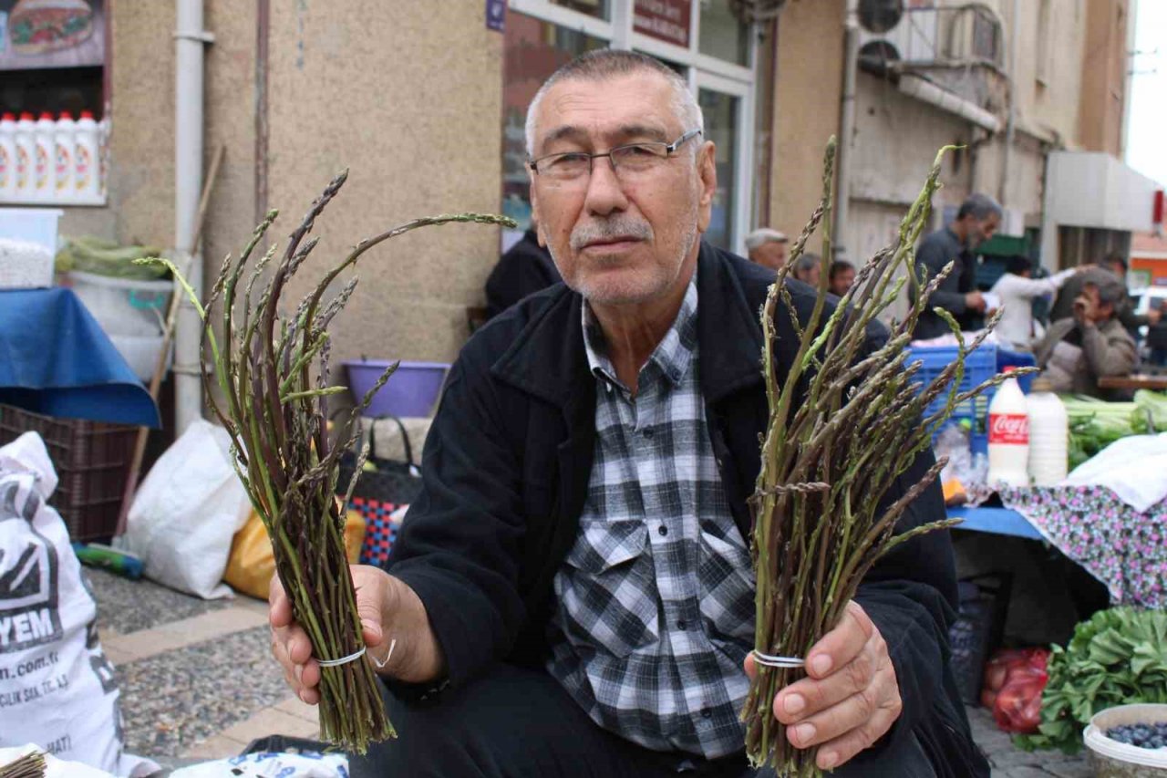 Aydın’ın acı otu, fiyatıyla da görenlerin yüzünü buruşturuyor