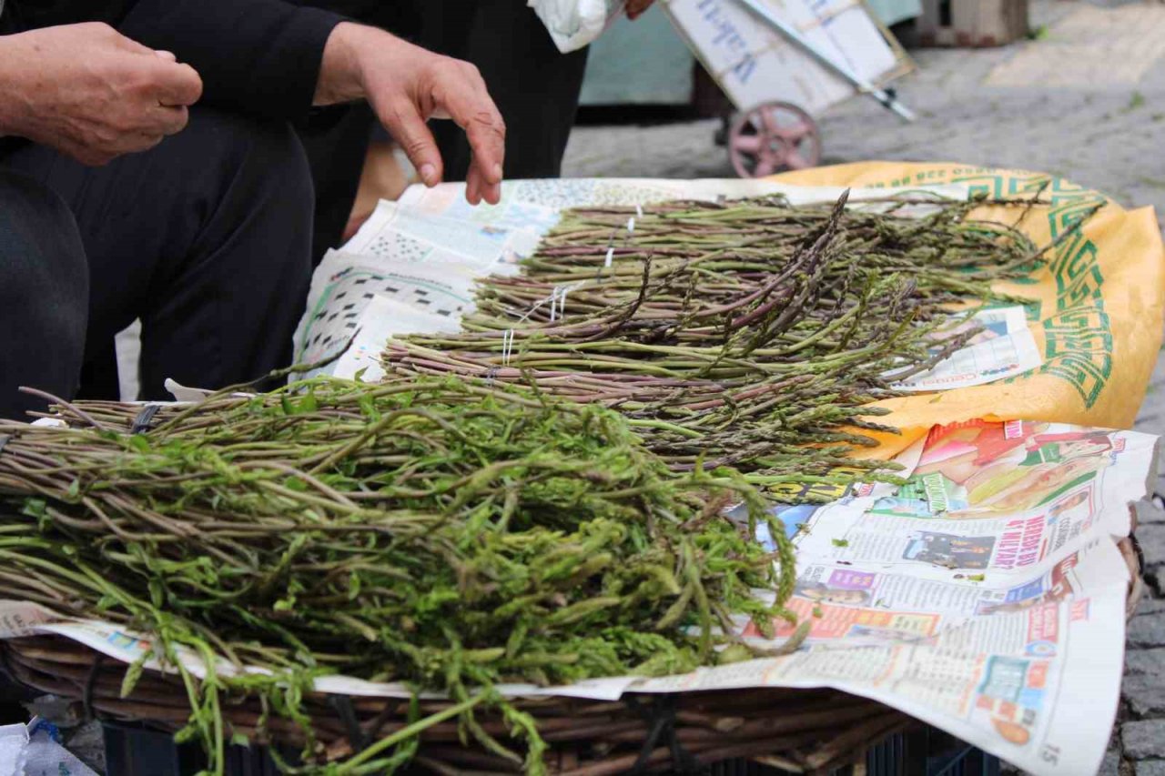 Aydın’ın acı otu, fiyatıyla da görenlerin yüzünü buruşturuyor