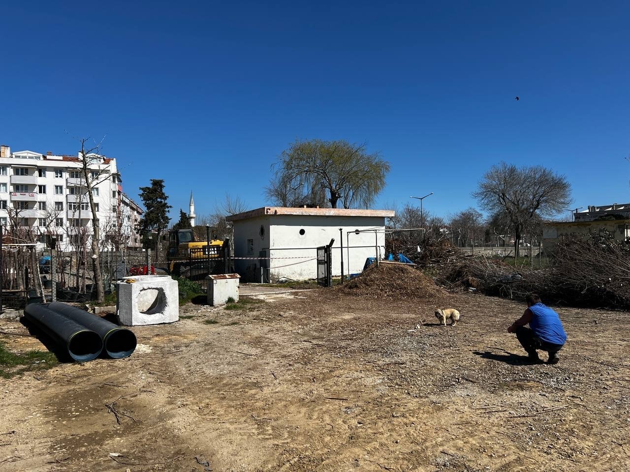 Gelibolu’da Çanakkale Savaşları’ndan kaldığı değerlendirilen 4 adet patlamamış top mermisi bulundu