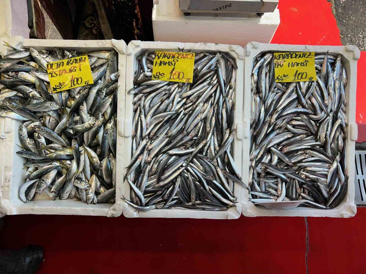 Balıkçılardan uyarı: “Balık yemek isteyen vatandaşlar son bir ayı iyi değerlendirsinler”