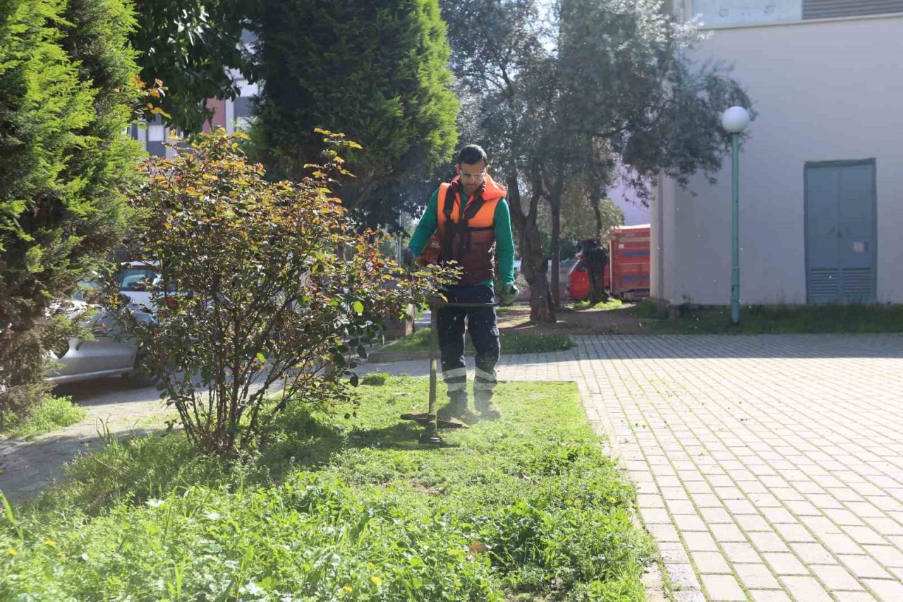 Efeler’in yeşil alanları temizleniyor