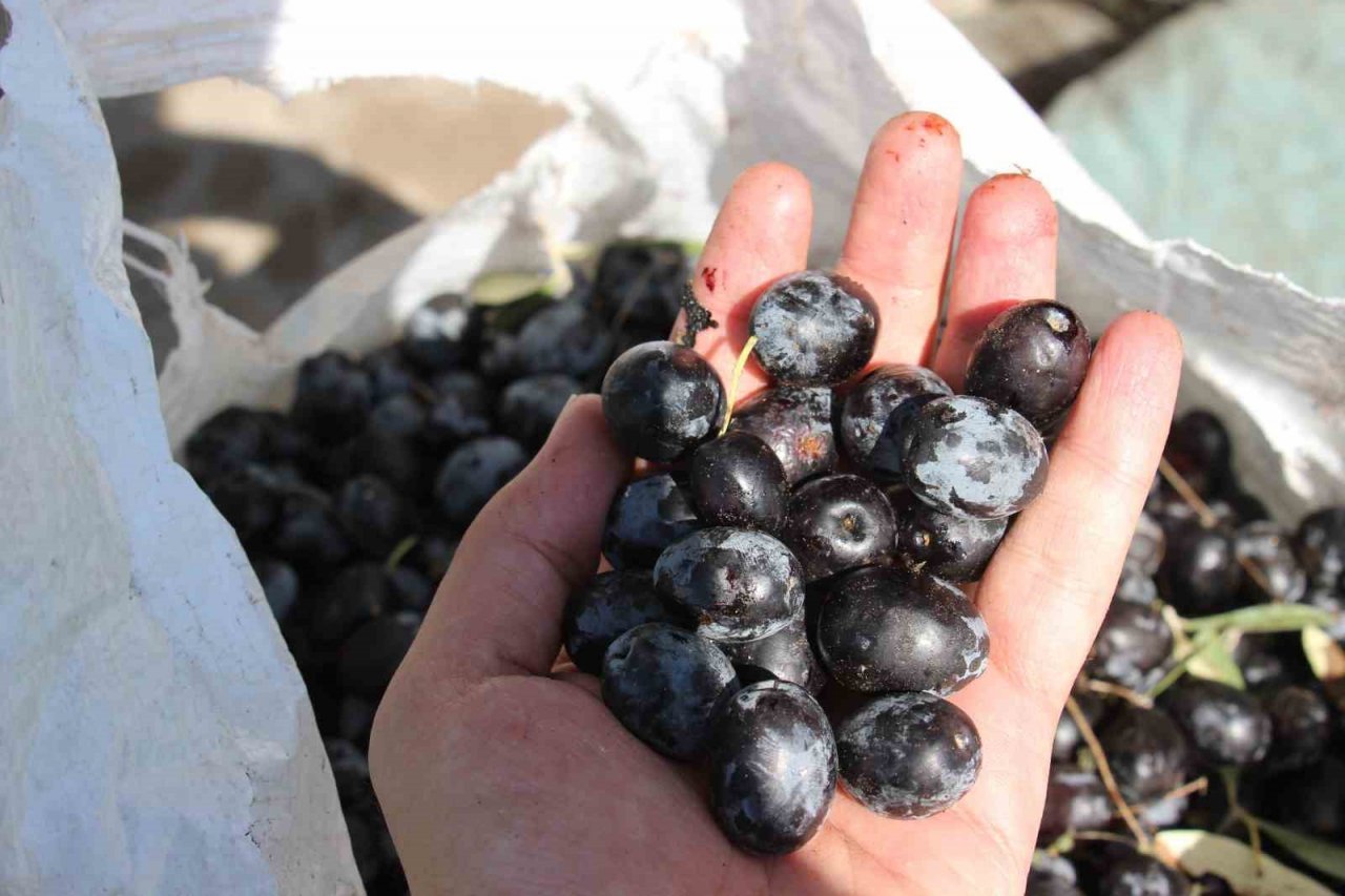 Efeler İlçe Tarım ve Orman Müdürlüğü’nden destekleme uyarısı