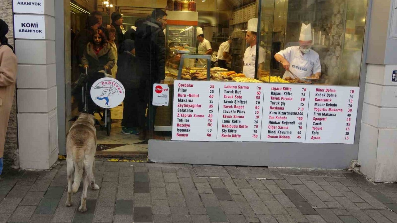 Sokak köpekleri İstiklal Caddesi’ndeki bir lokantanın müdavimi oldu