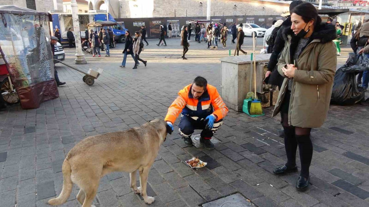 Sokak köpekleri İstiklal Caddesi’ndeki bir lokantanın müdavimi oldu