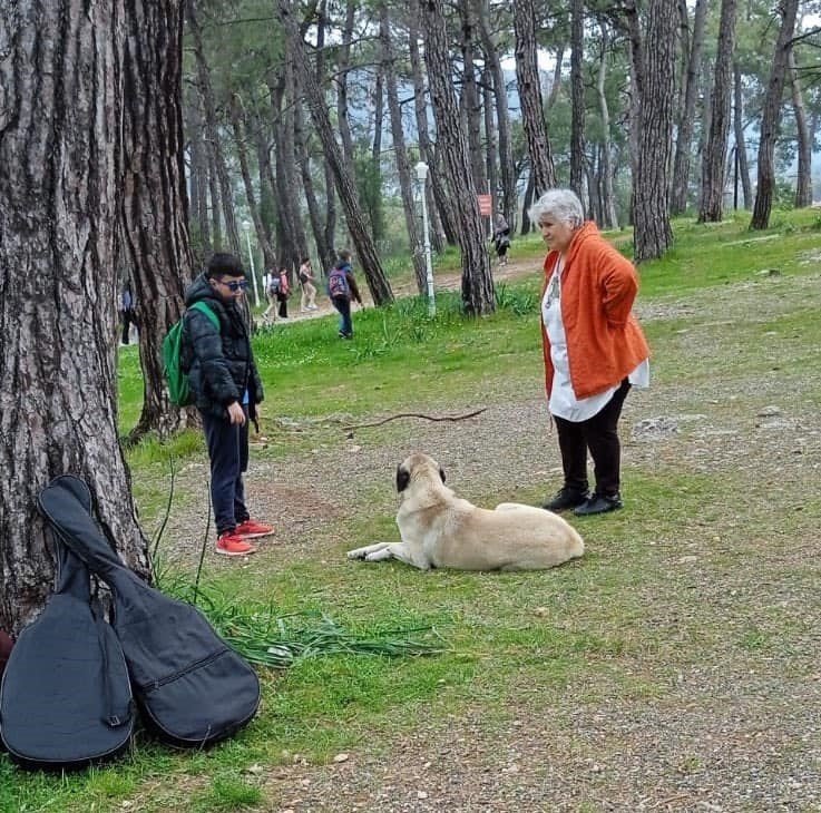 Okur gezer yazar projesi gerçekleştirildi