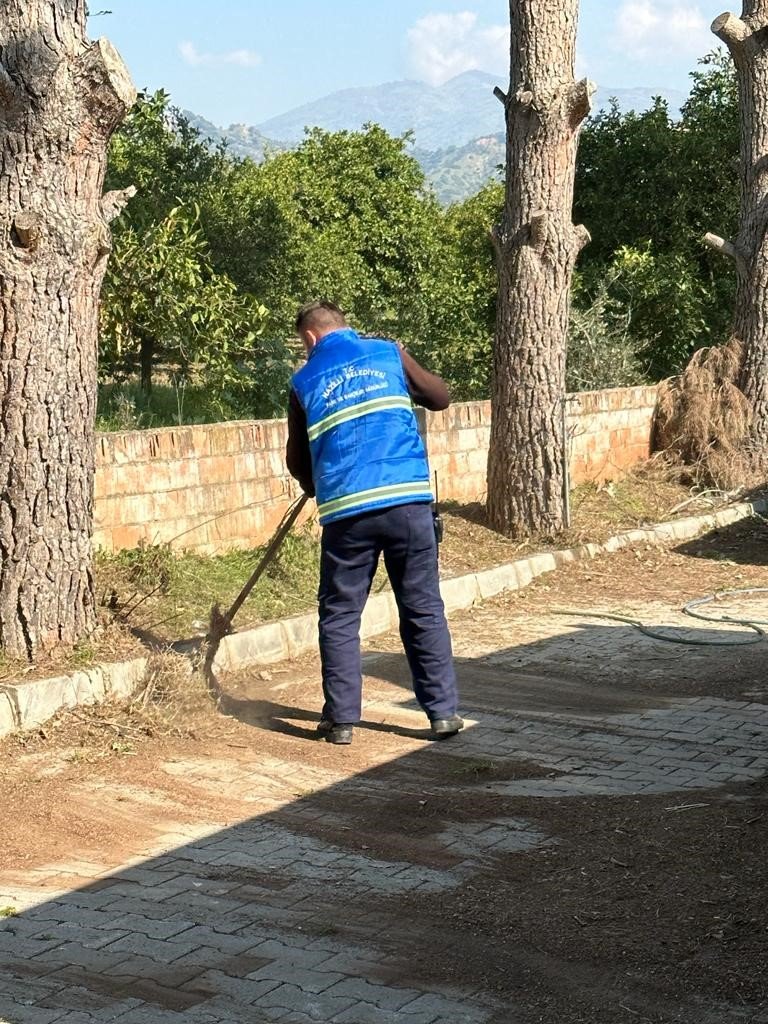 Nazilli’de mezarlıklar bakıma alındı