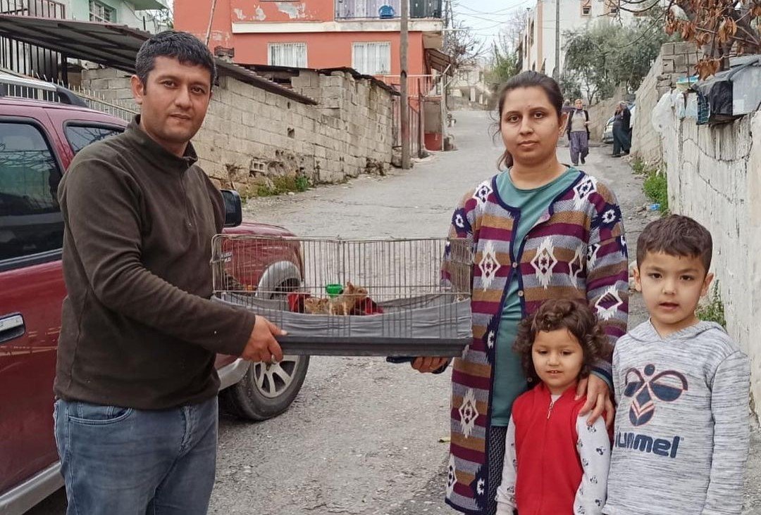 Osmaniye’de odunların arasında bulunan yavru sincaplar doğaya bırakıldı