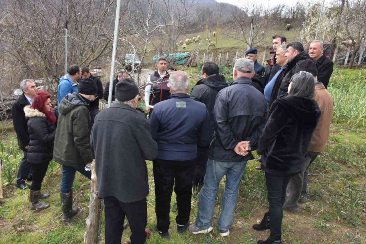 Sinop’ta çiftçilere uygulamalı budama eğitimi