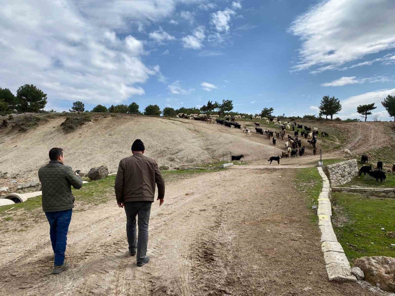 İhsaniye’de IFAD projesi devam ediyor