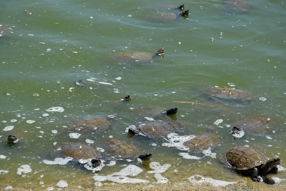 BAÜN’e Botanik Bahçesi kuruluyor