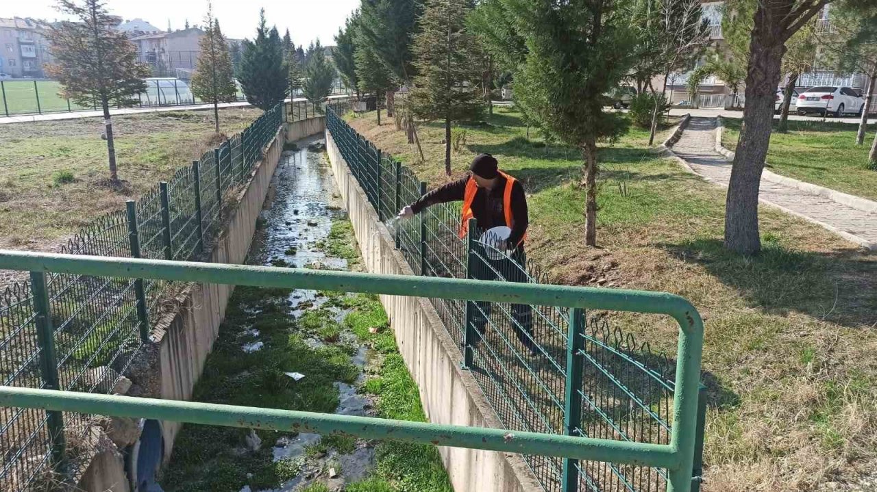 Gediz’de Larva ile mücadele devam ediyor