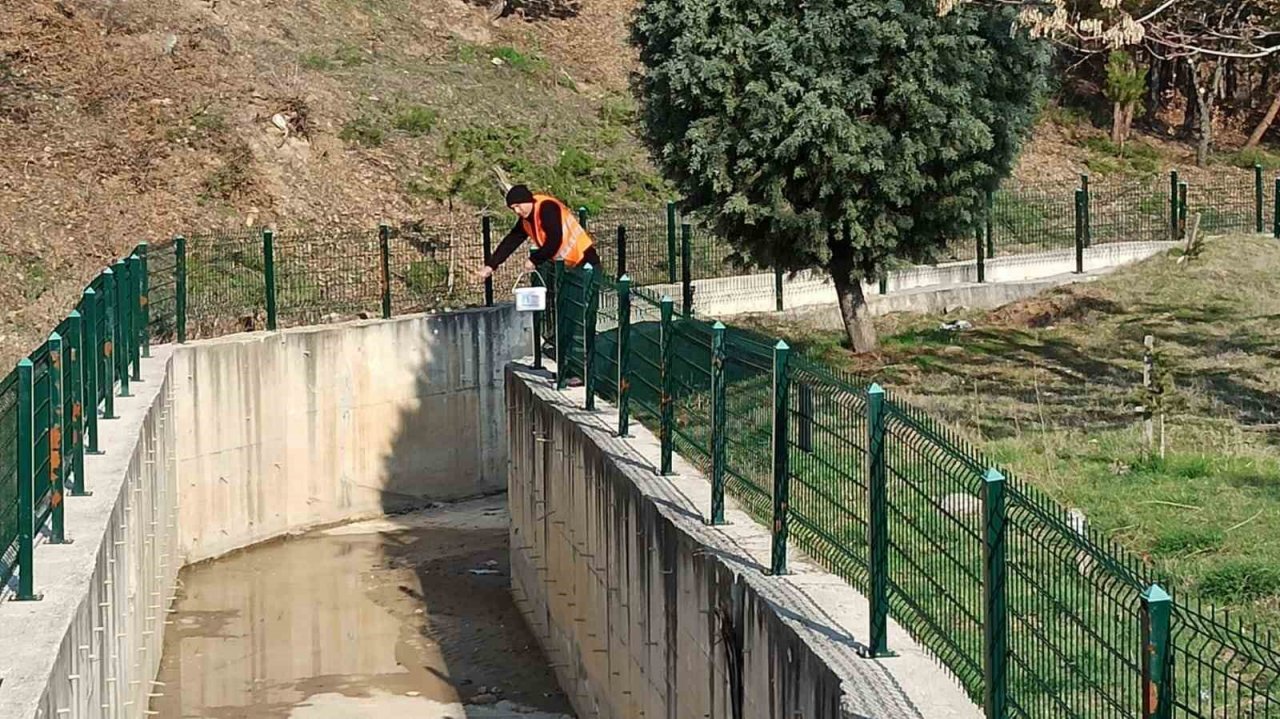 Gediz’de Larva ile mücadele devam ediyor
