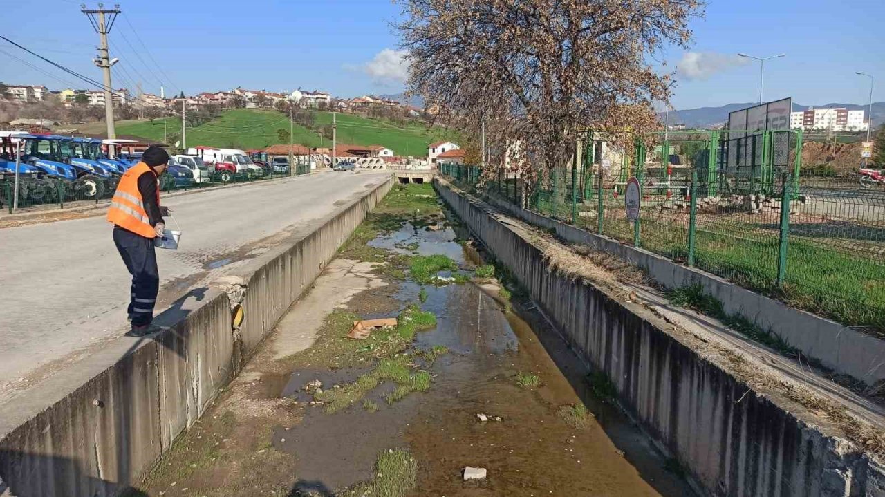 Gediz’de Larva ile mücadele devam ediyor