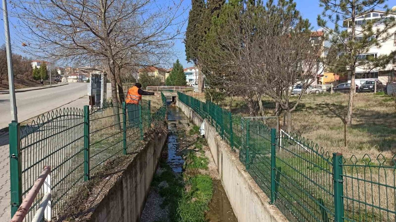 Gediz’de Larva ile mücadele devam ediyor