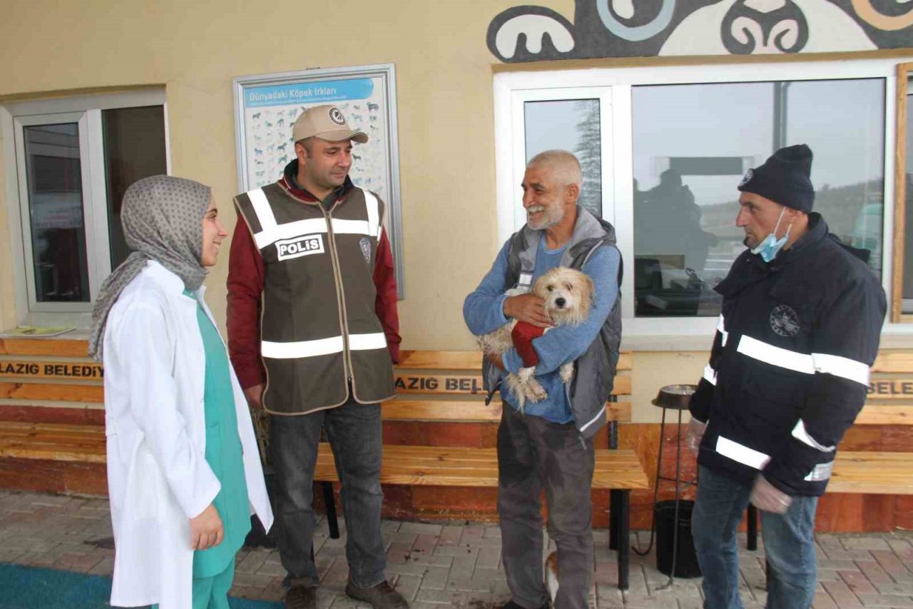 Muğla’da çalınan köpek, çipi sayesinde Elazığ’da bulunarak sahibine teslim edildi