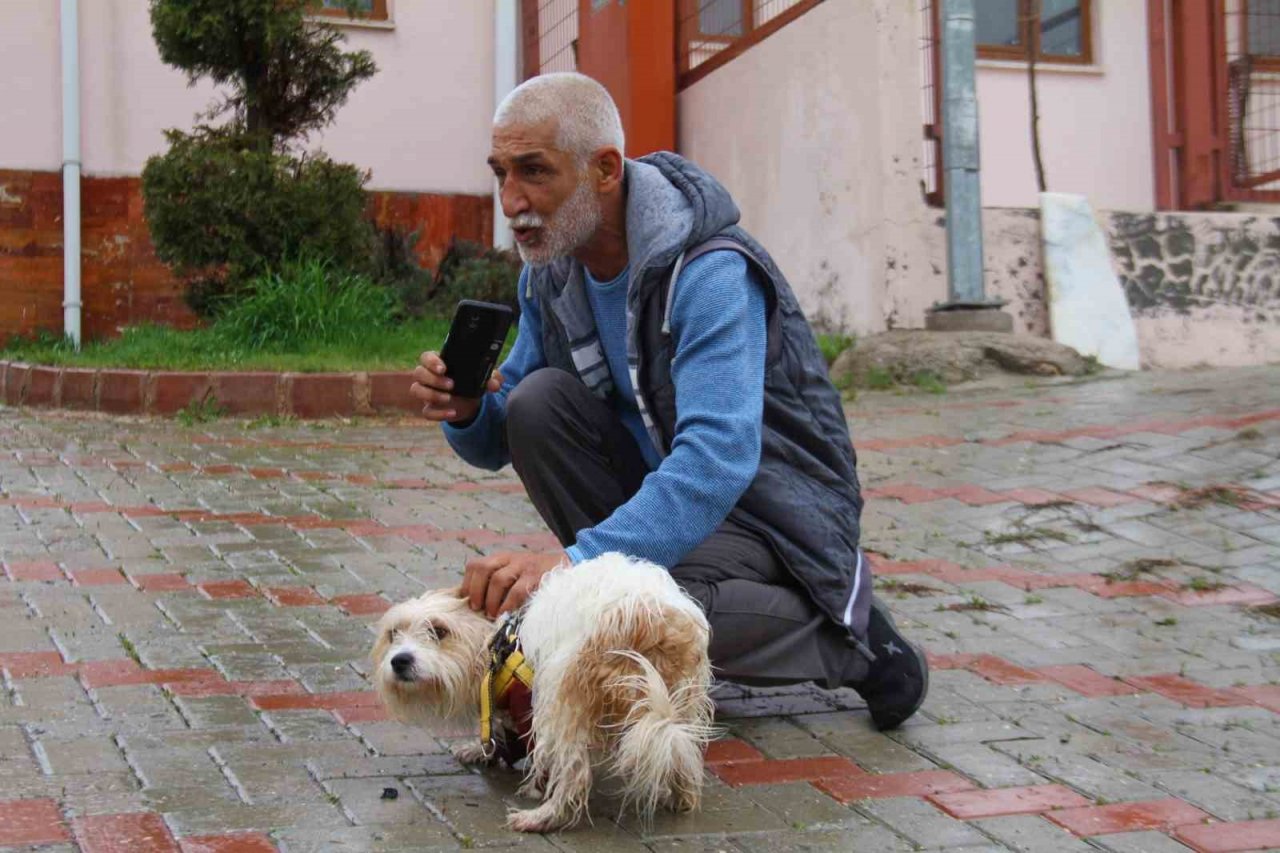 Muğla’da çalınan köpek, çipi sayesinde Elazığ’da bulunarak sahibine teslim edildi