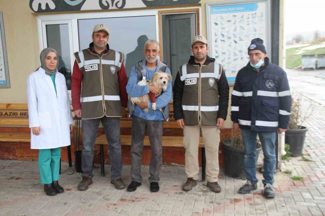 Muğla’da çalınan köpek, çipi sayesinde Elazığ’da bulunarak sahibine teslim edildi