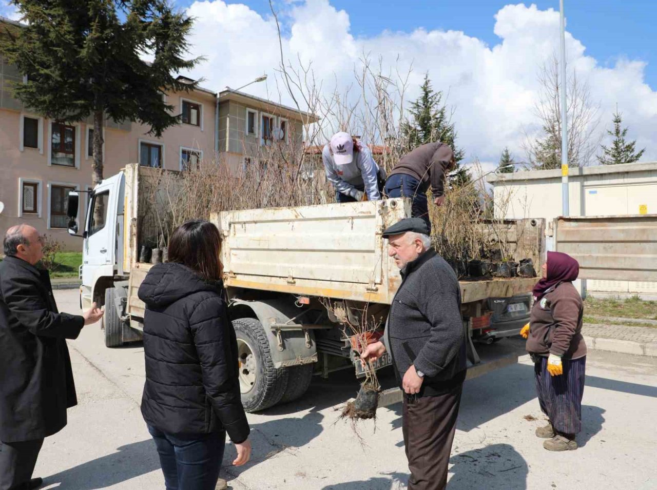 Bolu Belediyesi mahallelerde fidan dağıtıyor