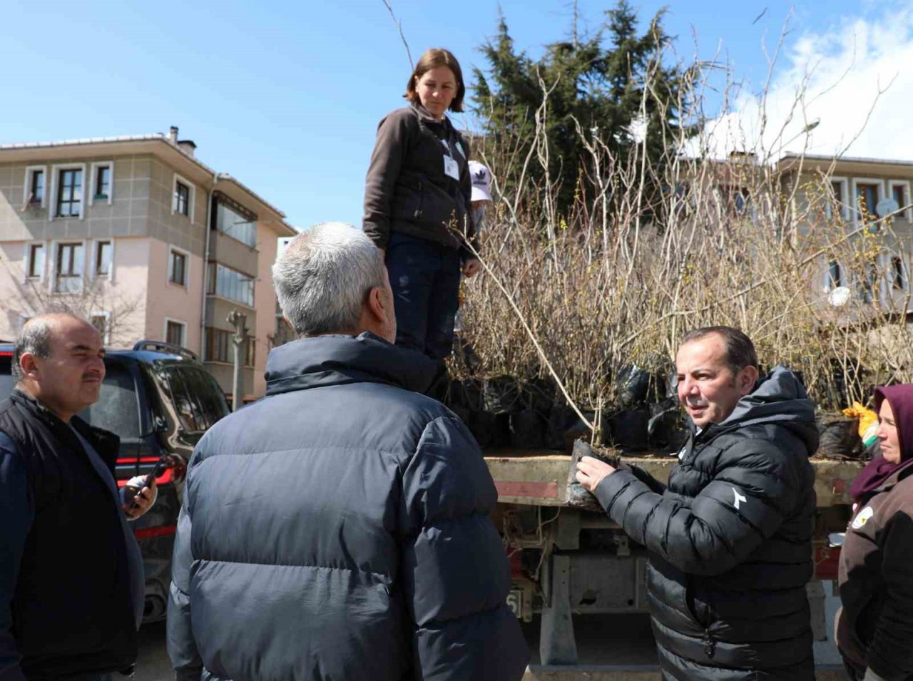 Bolu Belediyesi mahallelerde fidan dağıtıyor