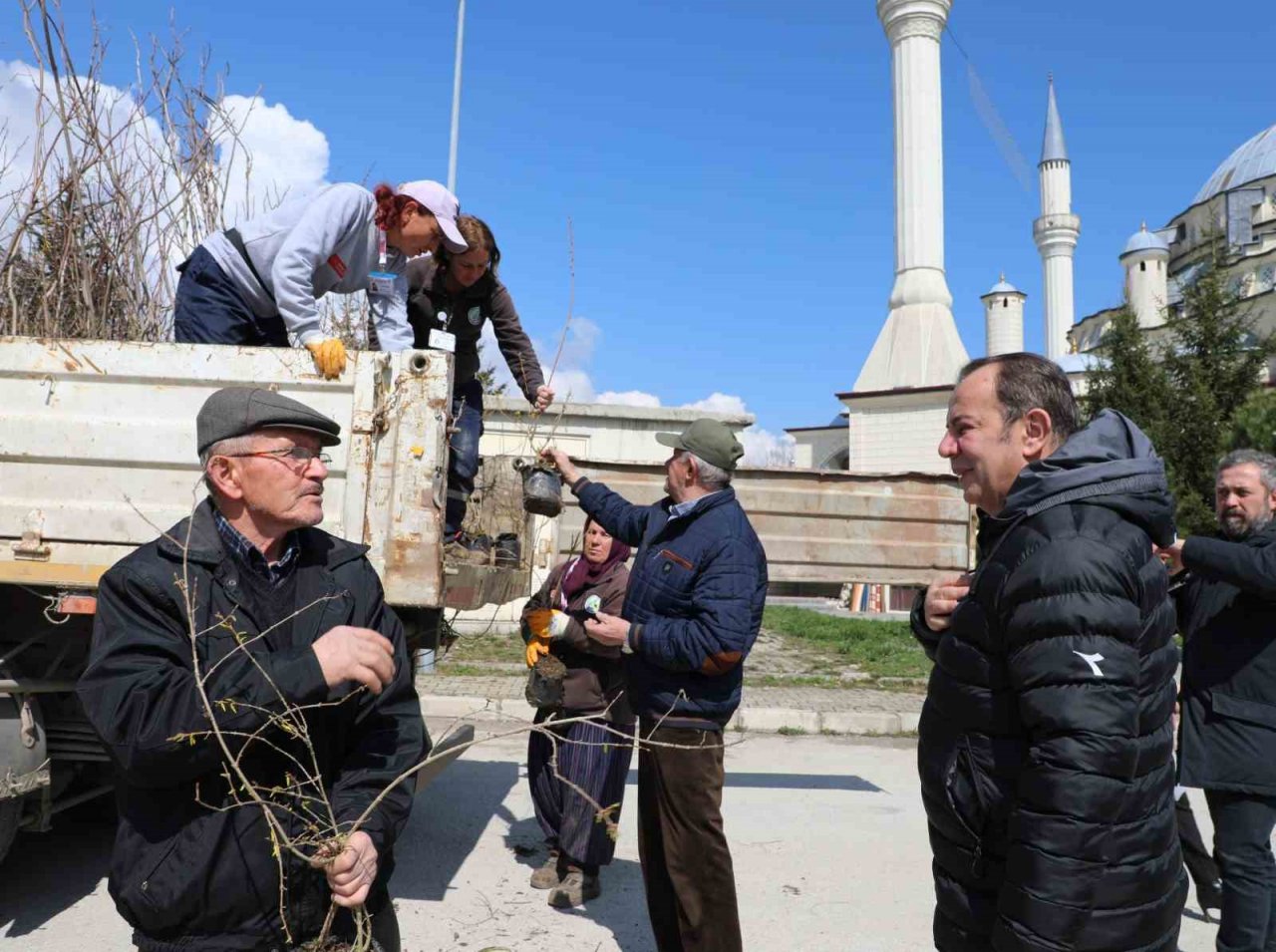 Bolu Belediyesi mahallelerde fidan dağıtıyor