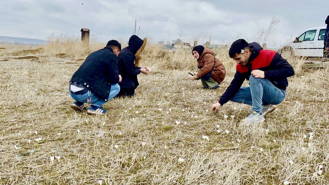 Ağrı’da baharın müjdecisi kardelenler çiçek açtı