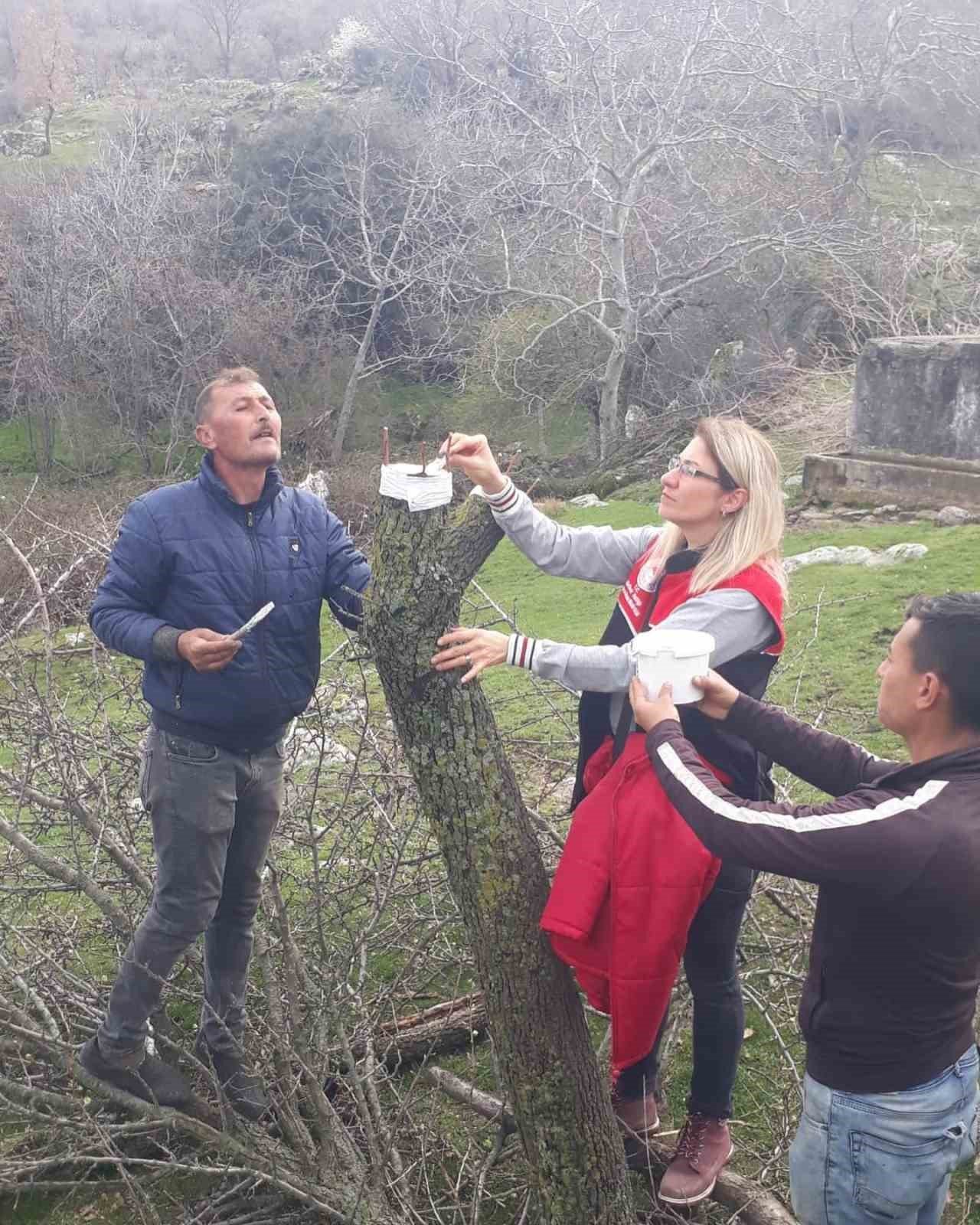 Havran’da aşılama eğitimi yapıldı