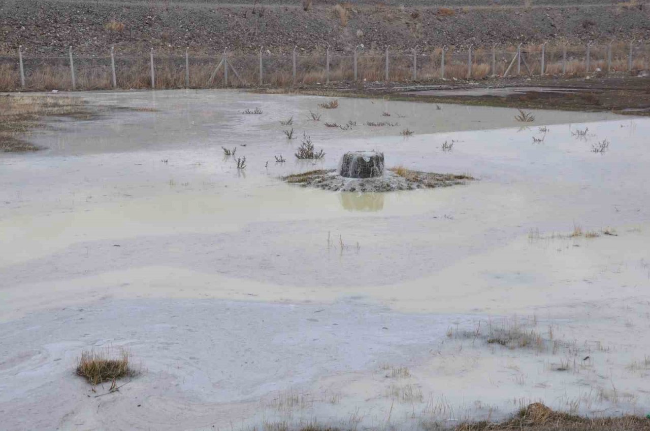 Kars’ta peynir altı sularının oluşturduğu gölet etrafa pis koku yayıyor
