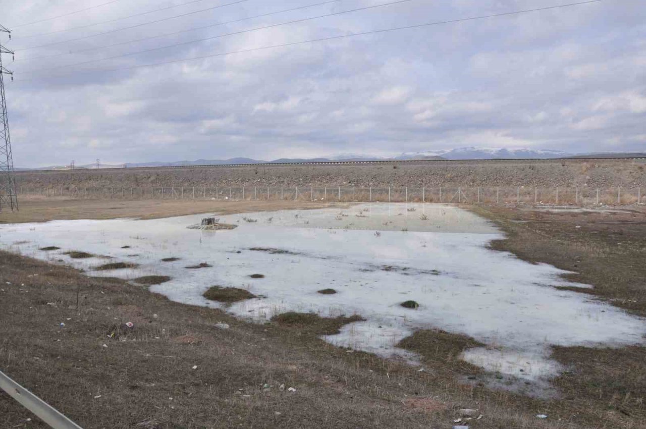 Kars’ta peynir altı sularının oluşturduğu gölet etrafa pis koku yayıyor