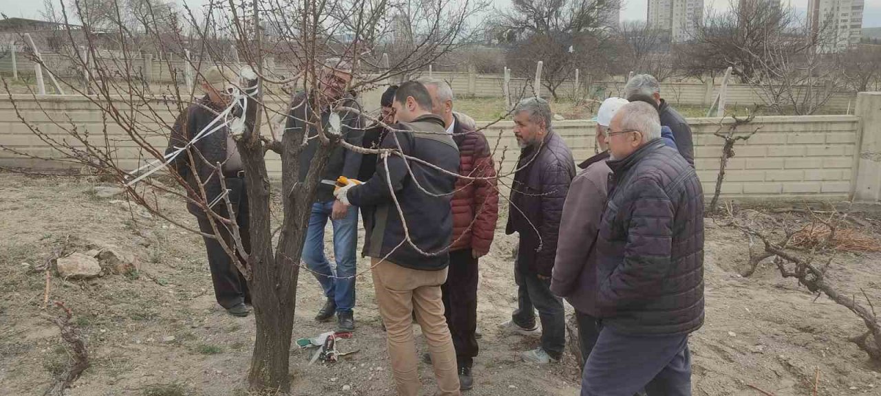 Melikgazi’den arıcılık ekonomisine destek