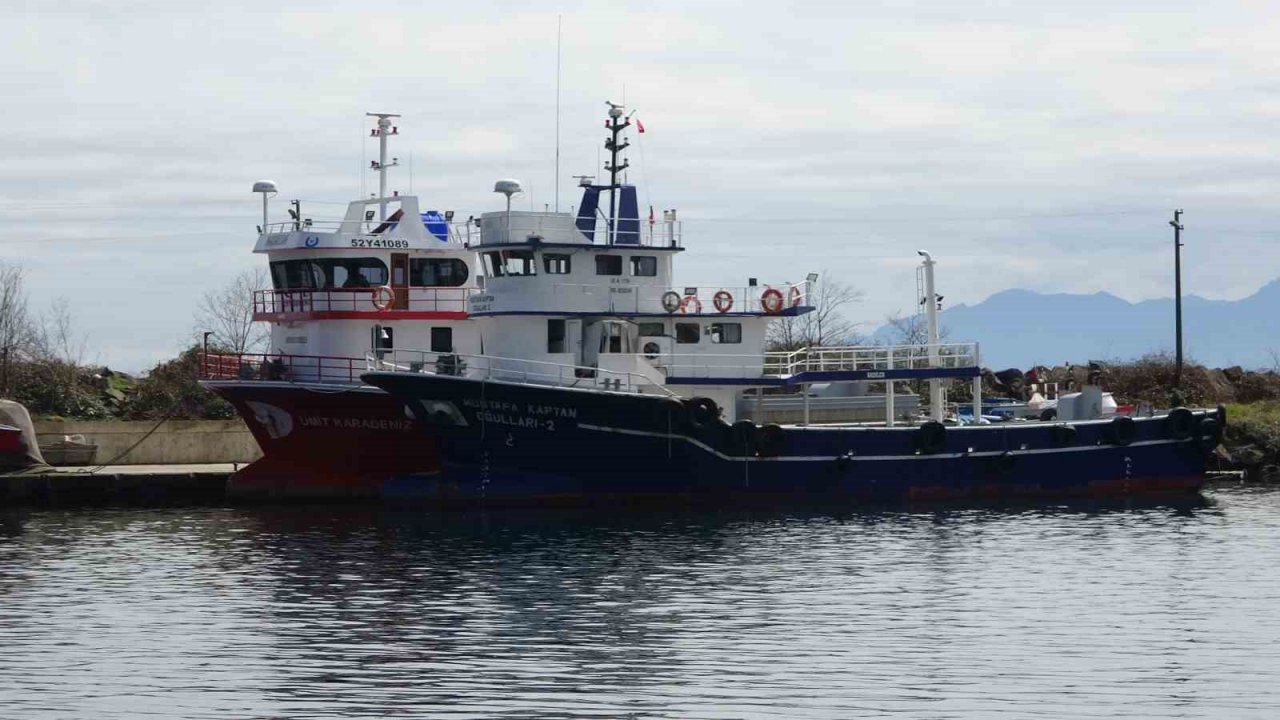 Hamsi ve istavrit olmayınca balıkçılar sezonu erken kapattı