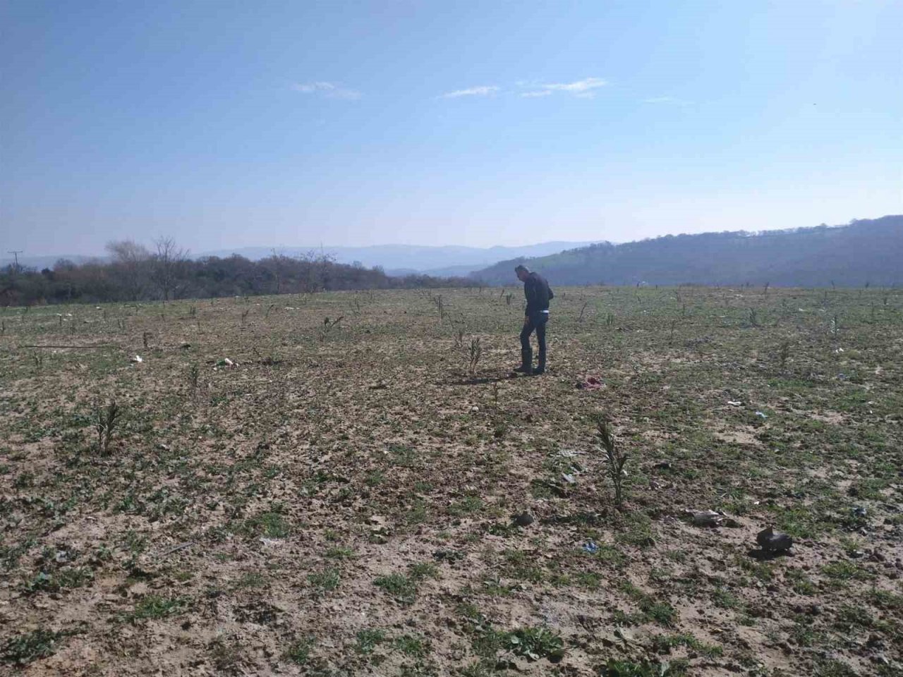 Çöplerin yerini zakkum çiçekleri alıyor