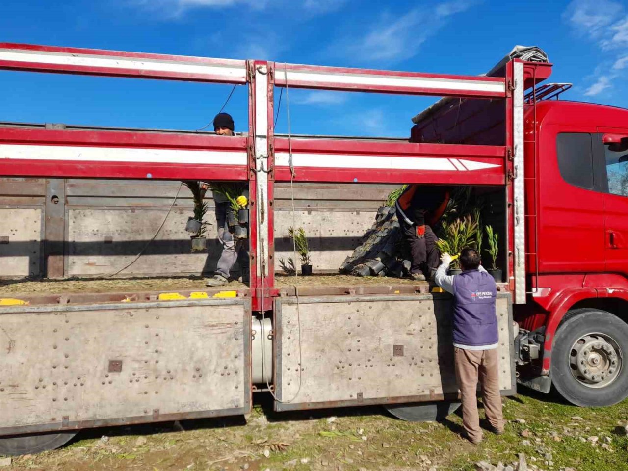 Çöplerin yerini zakkum çiçekleri alıyor