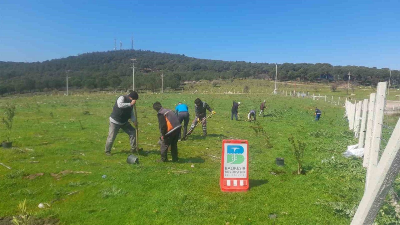 Çöplerin yerini zakkum çiçekleri alıyor