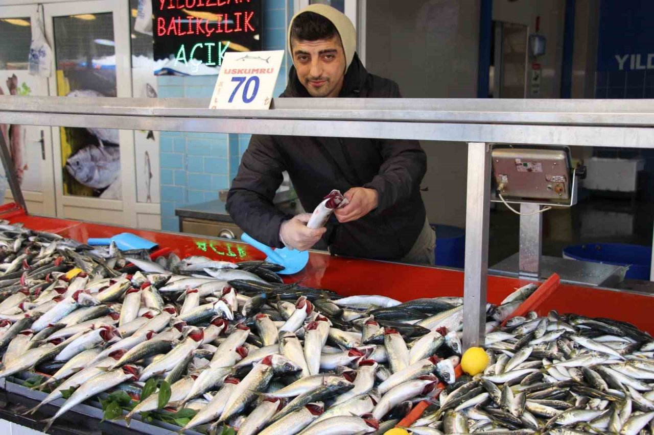 Bolu’da sezonunun son günlerini yaşayan hamsi 70 liradan satılıyor