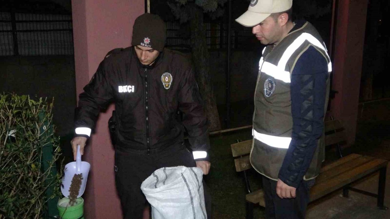 Deprem bölgesinden gelen ekipler, ayaklarının tozuyla sokak canlıları için sahaya indi