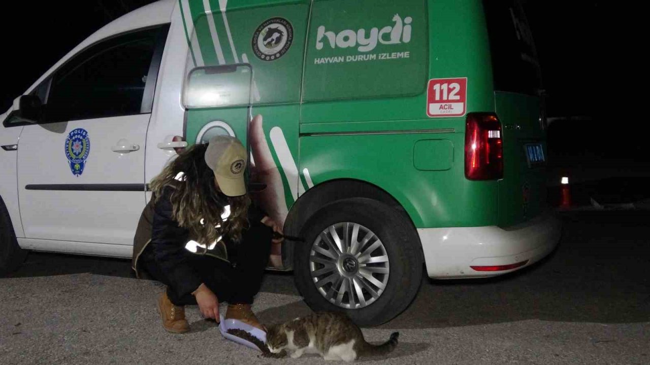 Deprem bölgesinden gelen ekipler, ayaklarının tozuyla sokak canlıları için sahaya indi