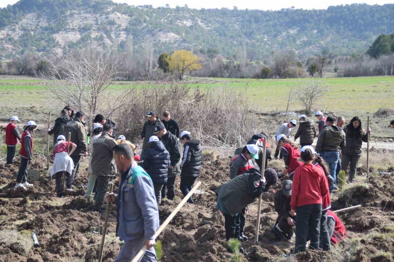 Domaniç’te 250 karaçam fidanı toprakla buluştu