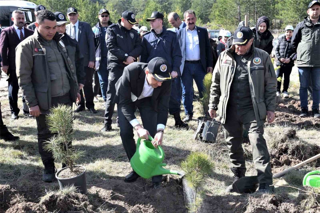 Domaniç’te 250 karaçam fidanı toprakla buluştu
