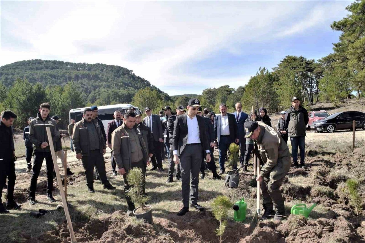 Domaniç’te 250 karaçam fidanı toprakla buluştu