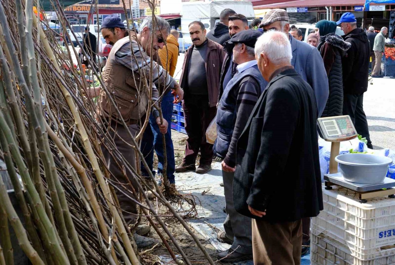 Erzincan’da meyve fidanı satışı başladı