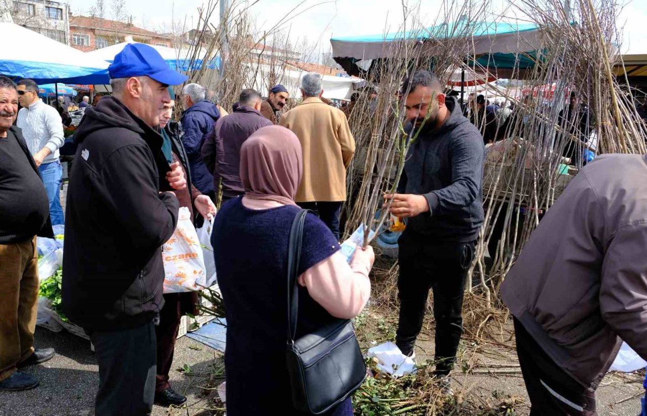Erzincan’da meyve fidanı satışı başladı