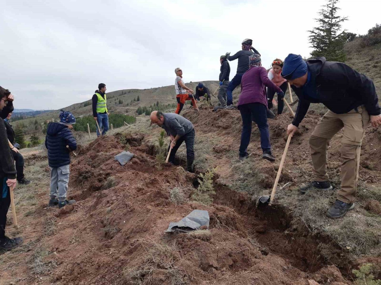 Orman Haftası kutlamasında 250 fidan dikildi