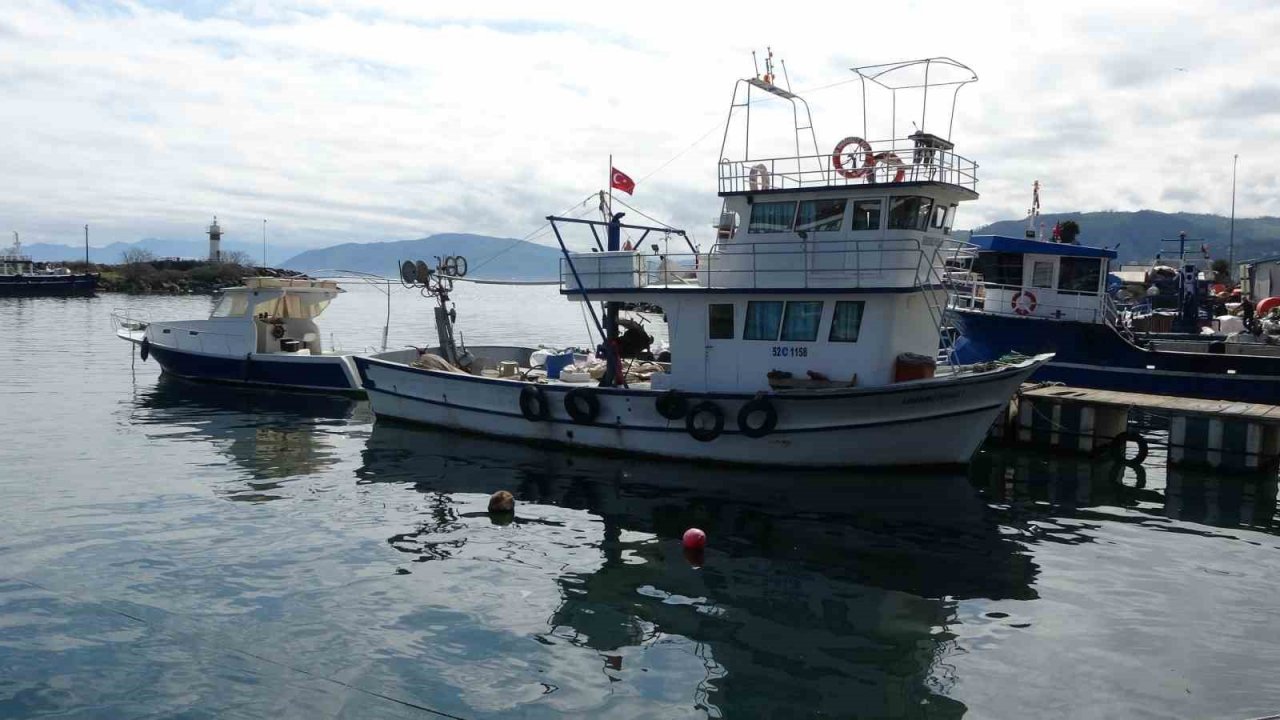 Hamsi ve istavrit olmayınca balıkçılar sezonu erken kapattı